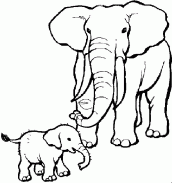 elefantes para colorir