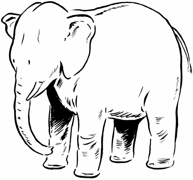 imagem de elefante para colorir