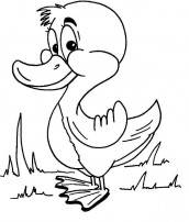 desenhar pato