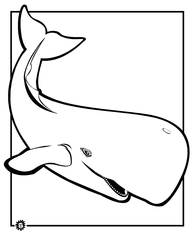 desenho de baleia para colorir