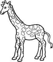 desenho de girafa para colorir