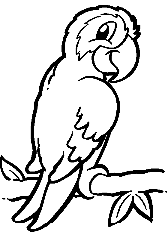 desenho de papagaio para colorir