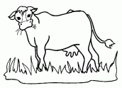 desenho de vaca para imprimir