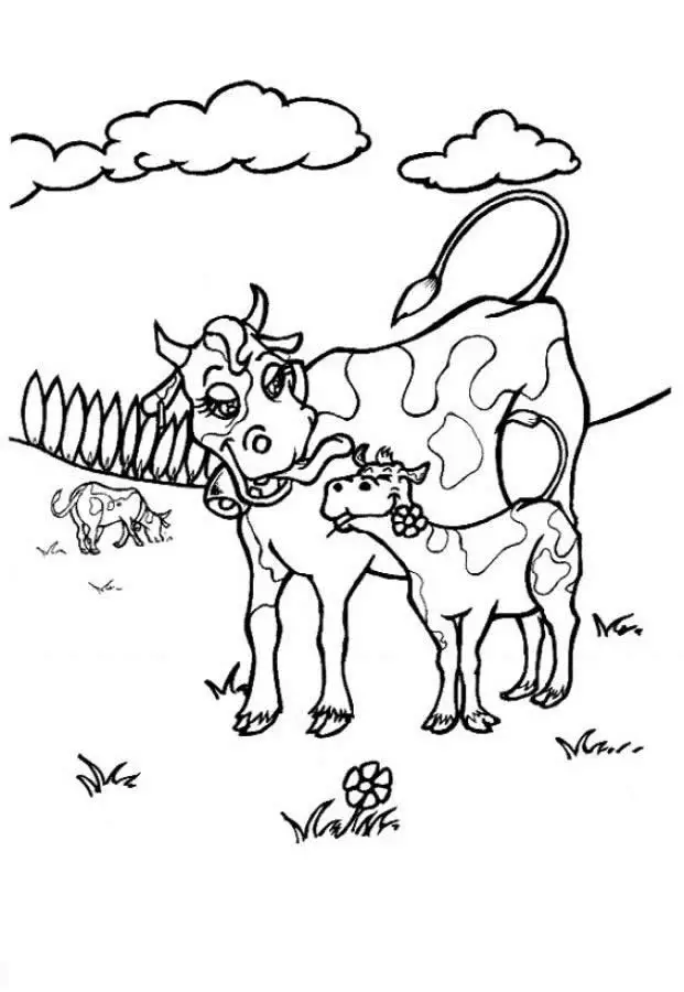 desenho de vaca para pintar