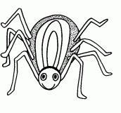 desenho para colorir de aranha