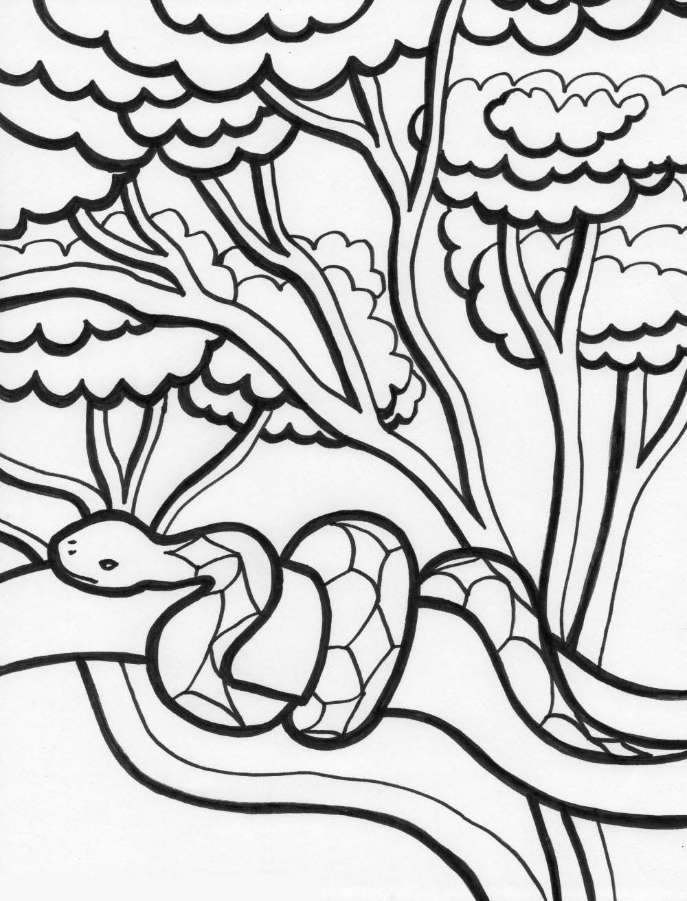 desenho para colorir de floresta