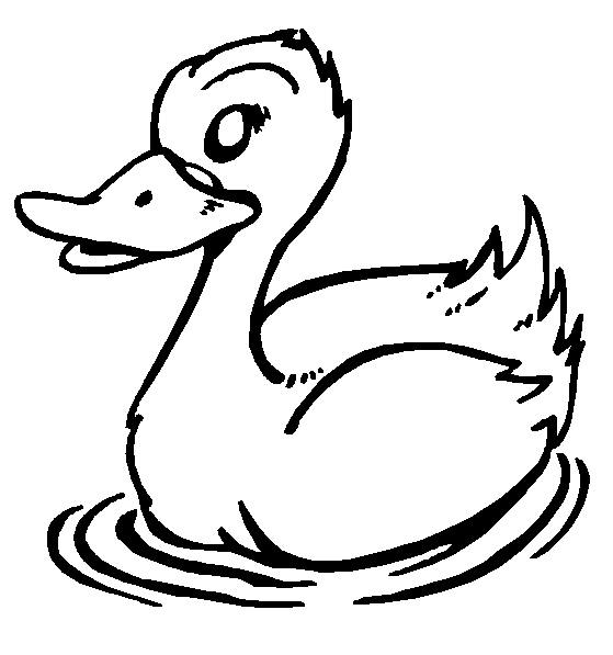 desenho para colorir pato