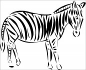 desenho para imprimir zebra