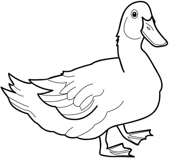desenhos para colorir de pato