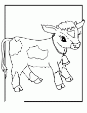 desenhos para colorir de vaca