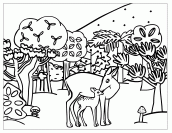 desenhos para colorir floresta