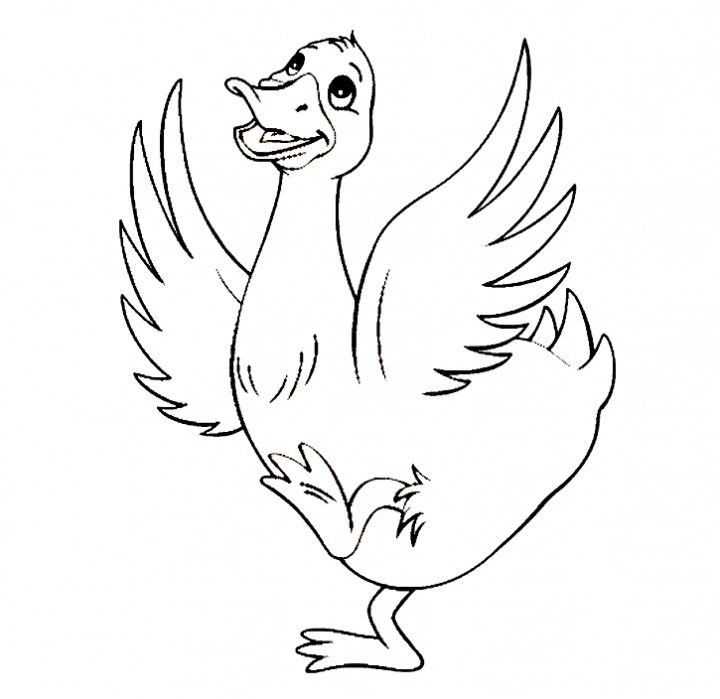 desenhos para colorir pato