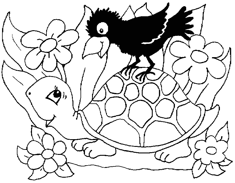 desenhos para colorir tartaruga