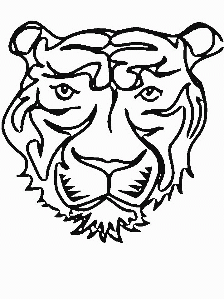 desenhos para colorir tigre