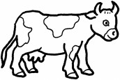 desenhos para colorir vaca