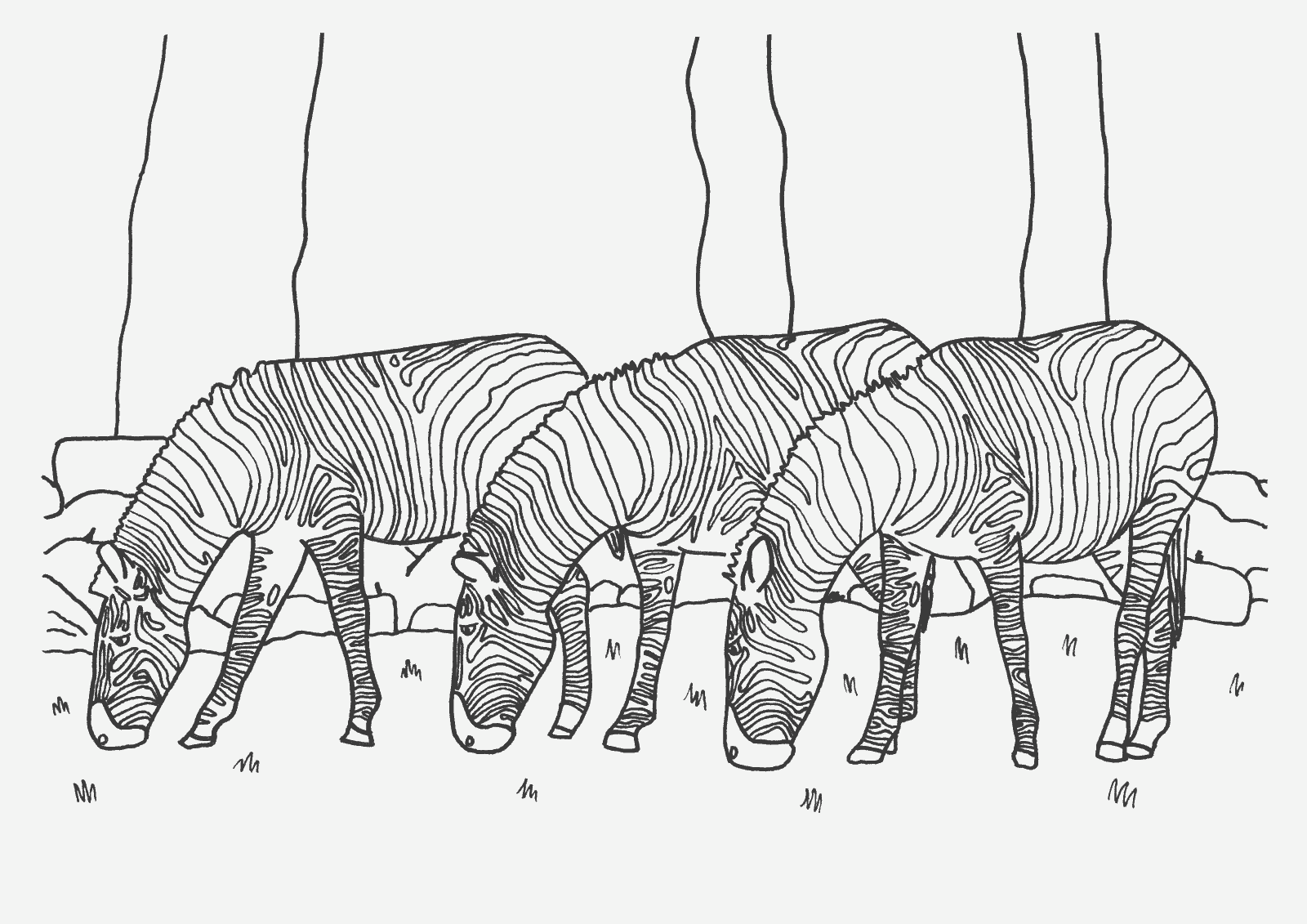 desenhos para desenhar zebra