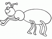 desenhos para imprimir formiga