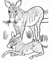 1) Google OQ. zebras para colorir TODAS IMAGENS NOTÍCIAS SHOPPING VÍDEOS do  rosto (P I imprimir animais Zebras para colorir I Desenhos par  amordepapeis.com.br 3000+ Desenhos para Colorir I Zeb br 