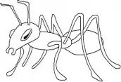 desenhos para pintar formiga
