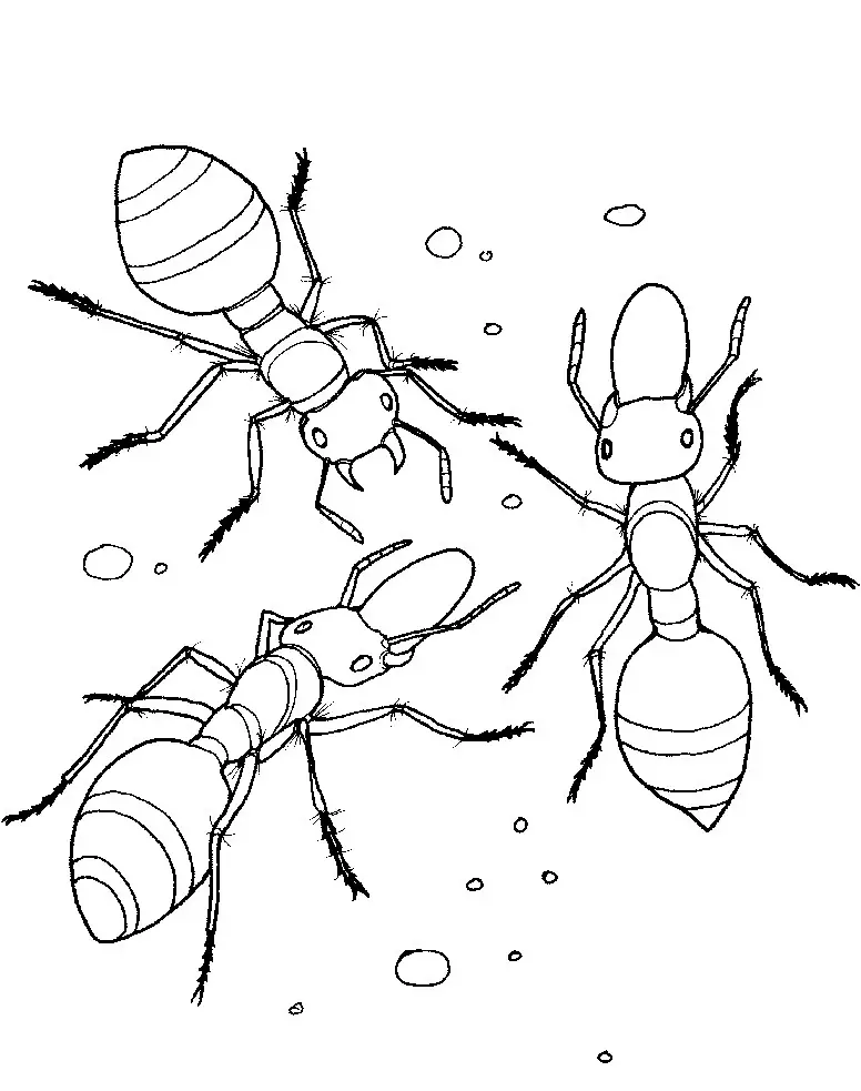 formigas para pintar