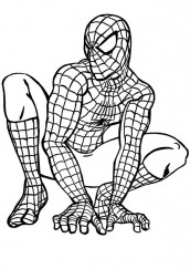 homem aranha para colorir