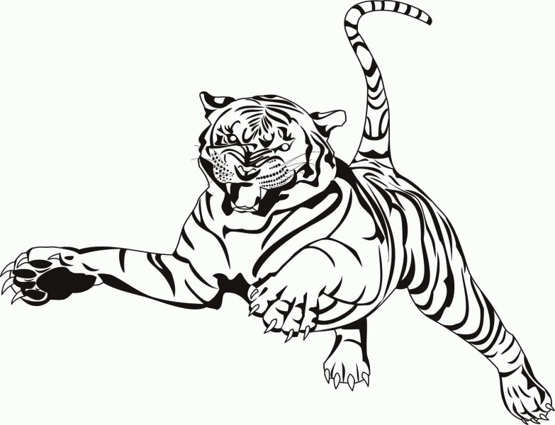 imagem de tigre para pintar