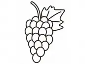 imagem de uvas para desenhar