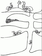imagens de formiga para pintar