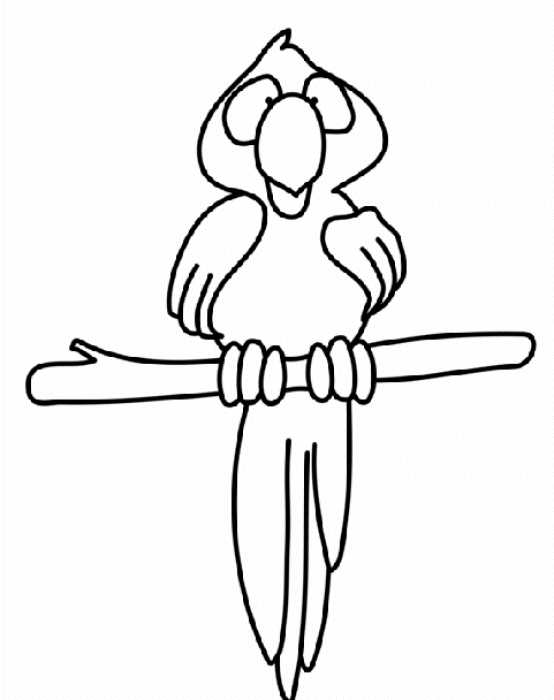 papagaio para desenhar