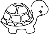 tartaruga para desenhar