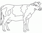 vacas para colorir