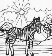 zebra para colorir