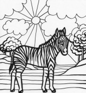 zebra para colorir