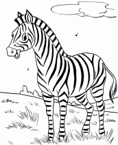 zebra para pintar