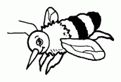 desenho de abelhas para colorir