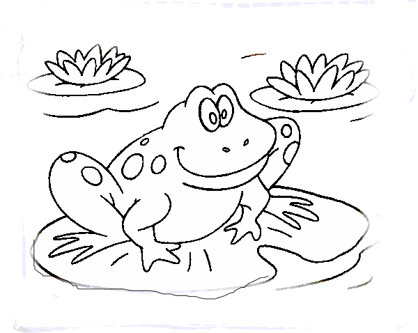 desenho de sapo para colorir