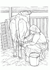 desenho de uma vaca para colorir