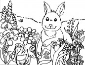 desenho para colorir primavera