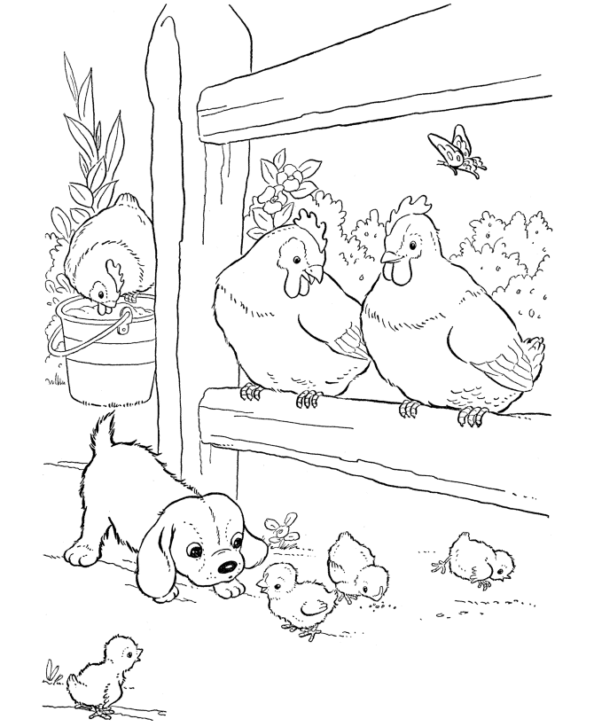 desenho da galinha para colorir