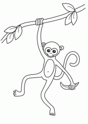 desenho para colorir macaco