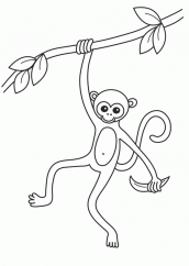 Desenho De Macaco Animal Isolado Página Para Colorir Crianças Gráfico  Criança Chimpanzé Vetor PNG , Desenho De Animais, Desenho De Macaco, Desenho  Chave Imagem PNG e Vetor Para Download Gratuito