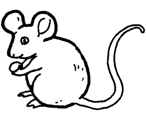 desenho para colorir rato