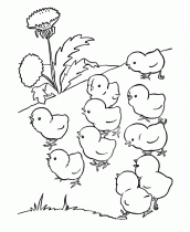 desenhos da galinha para colorir