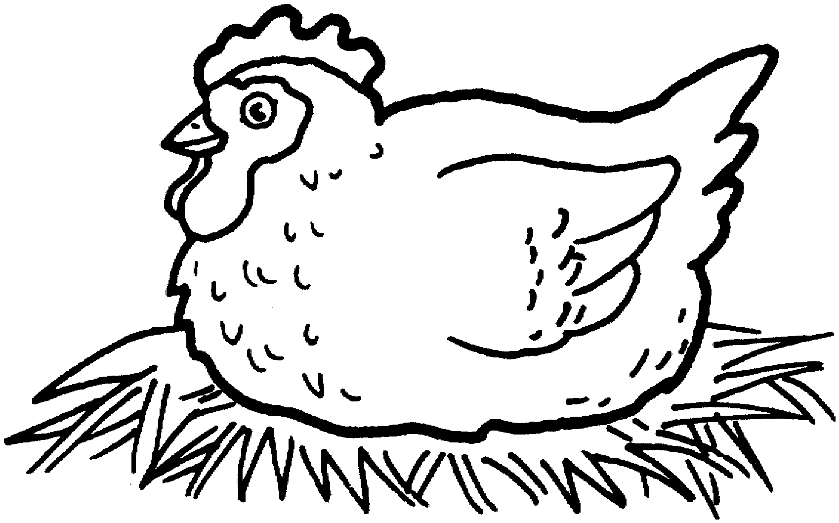 desenhos de galinhas para colorir