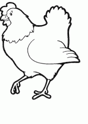 desenhos de galinhas para pintar