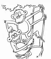 desenhos de macacos para colorir