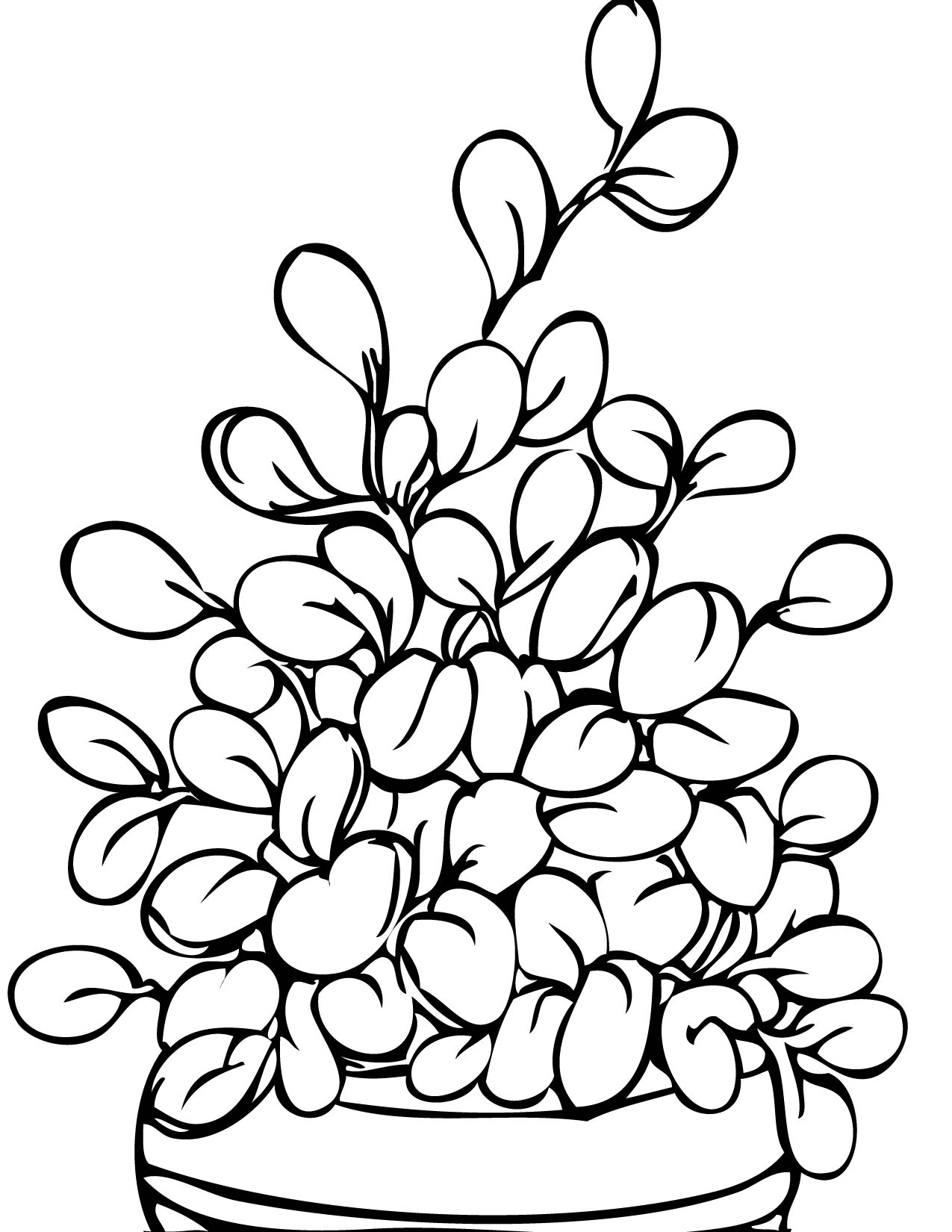 desenhos de plantas para colorir