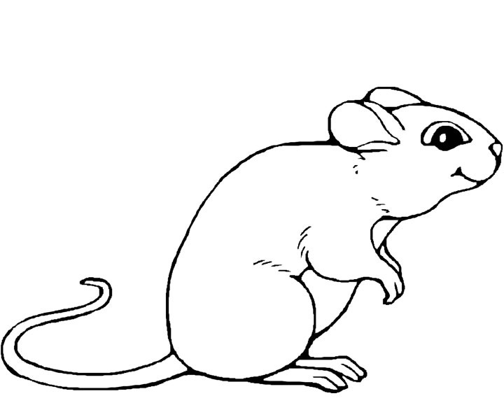 desenhos de rato para colorir