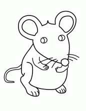 desenhos de ratos para imprimir