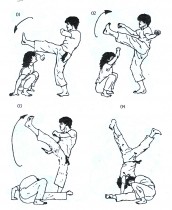 desenhos para colorir capoeira